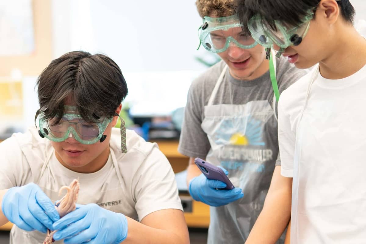 Campers doing science experiments at Andover Summer