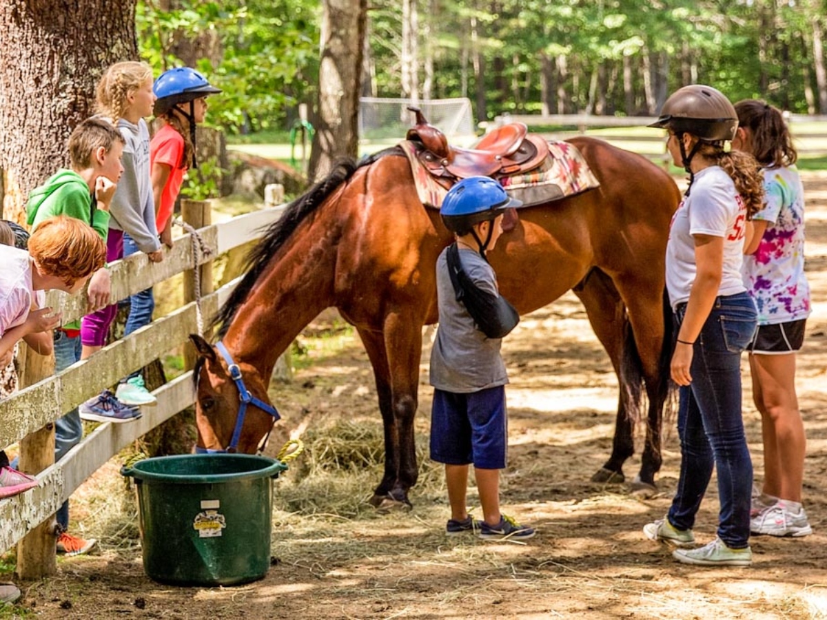 Horseback riding at Camp Quinebarge