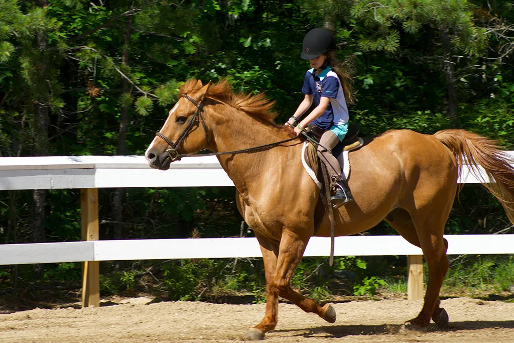 Girl riding a horse at Camp Robin Hood
