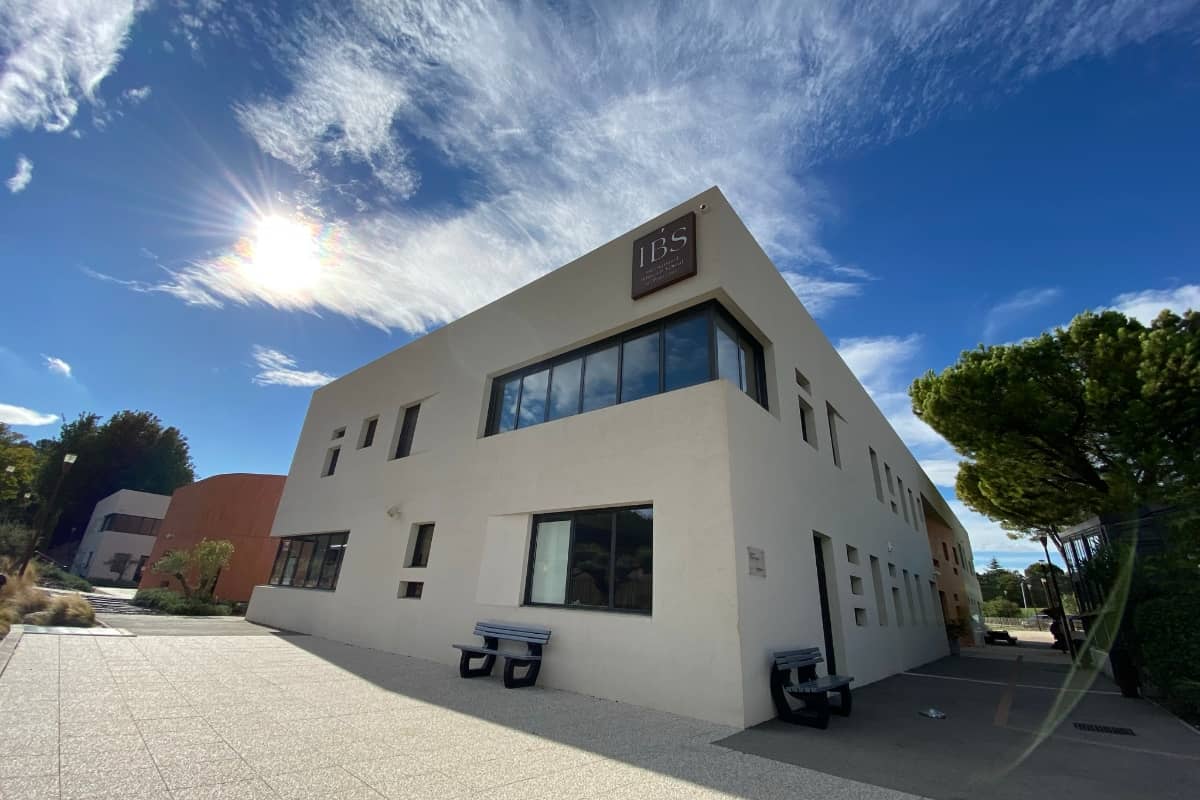 IBS of Provence Camps