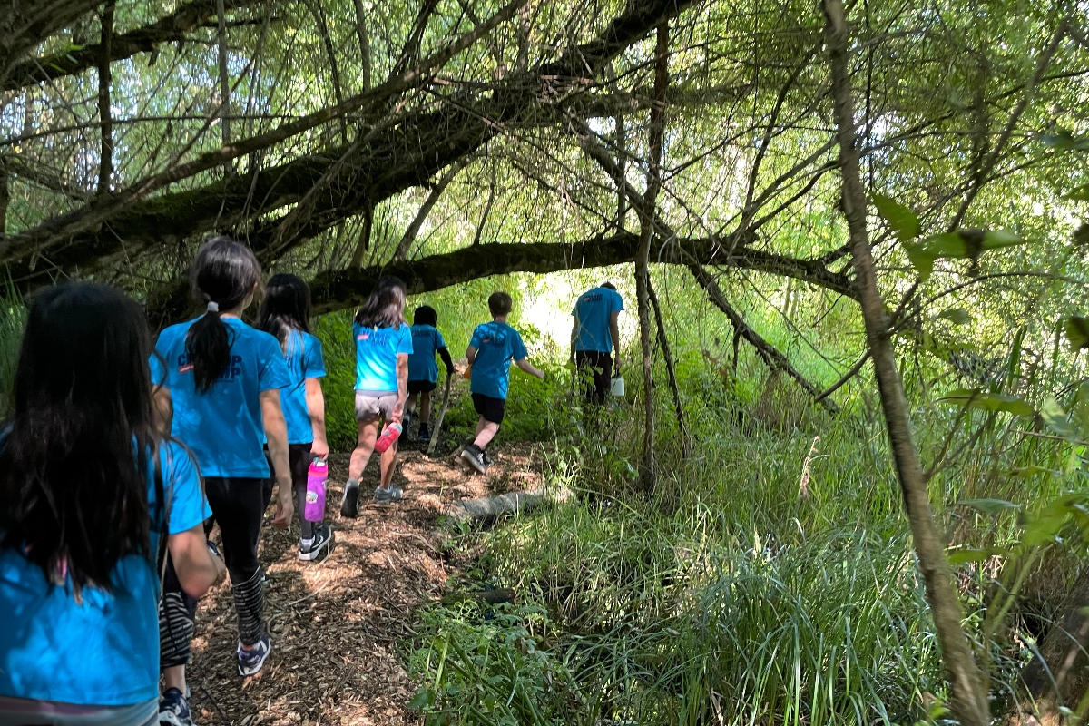 Children hiking