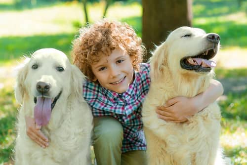 Child playing with dogs