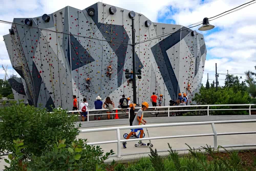 Rock climbing in Chicago summer camp